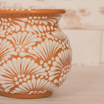 Out of the Woods - Jarrito